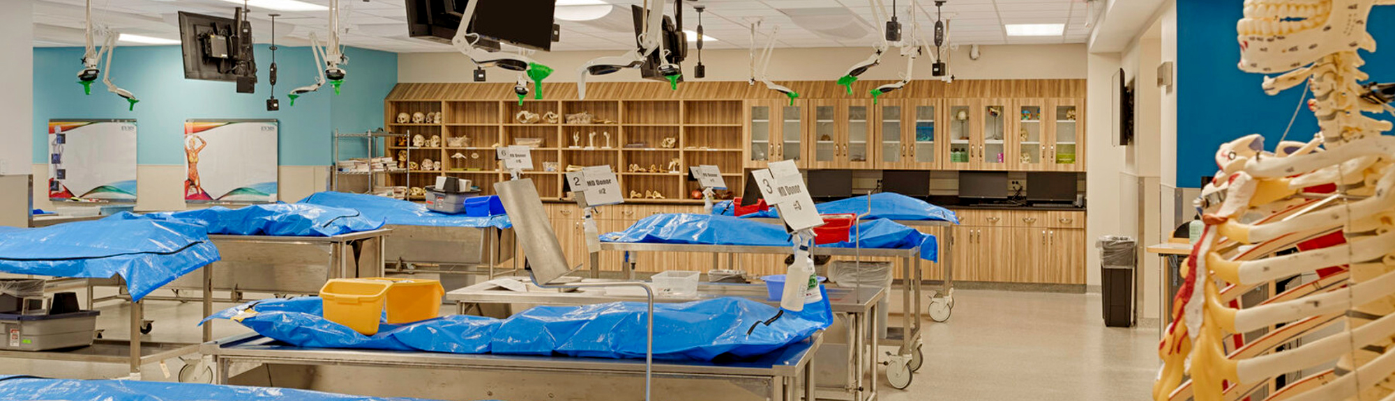 GRV Institute of Medical Sciences