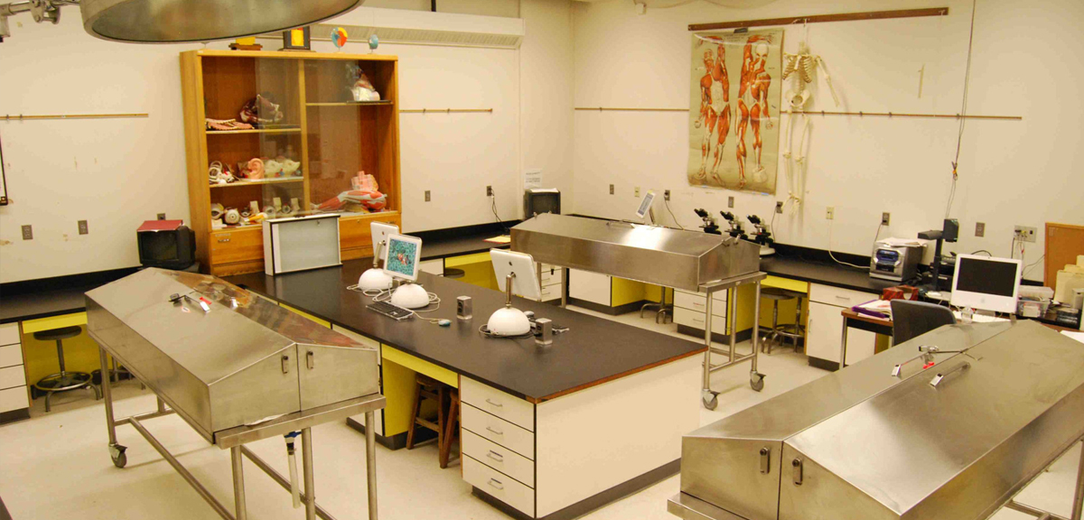 GRV Institute of Medical Sciences