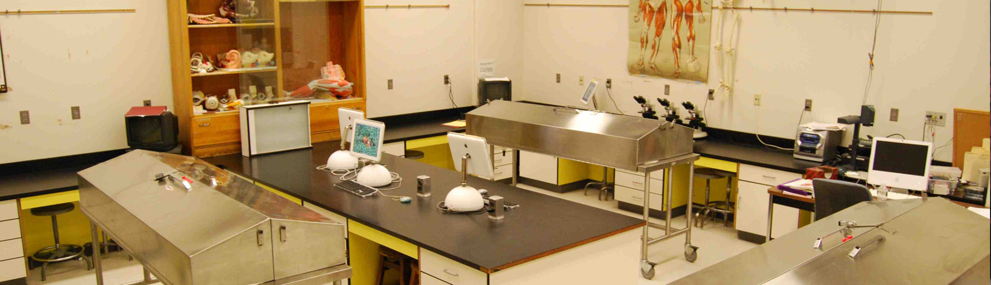 GRV Institute of Medical Sciences